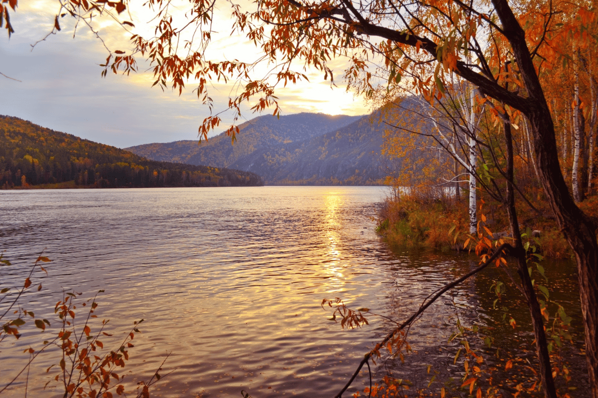 bonito y hermoso