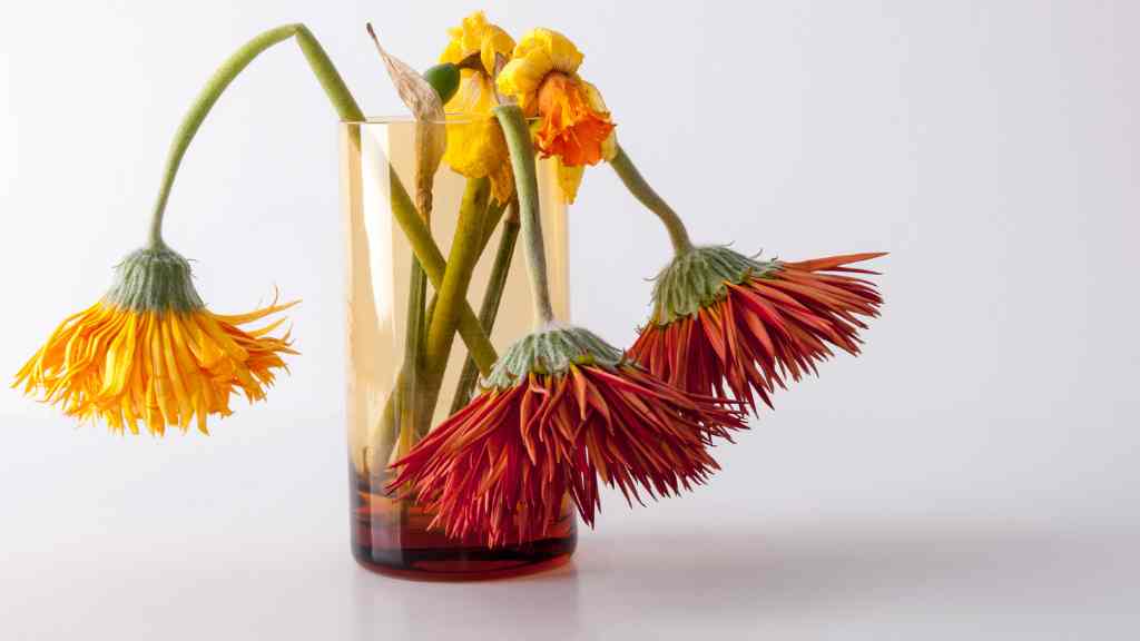 flores marchitadas